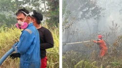 Begini Pandangan RWF Sebagai Penerima Penghargaan PBB Terhadap Karhutla di Kalimantan