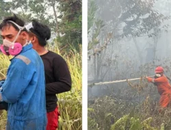 Begini Pandangan RWF Sebagai Penerima Penghargaan PBB Terhadap Karhutla di Kalimantan