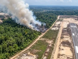 Penerbangan Muara Teweh-Palangka Raya Ikut Terdampak Kabut Asap